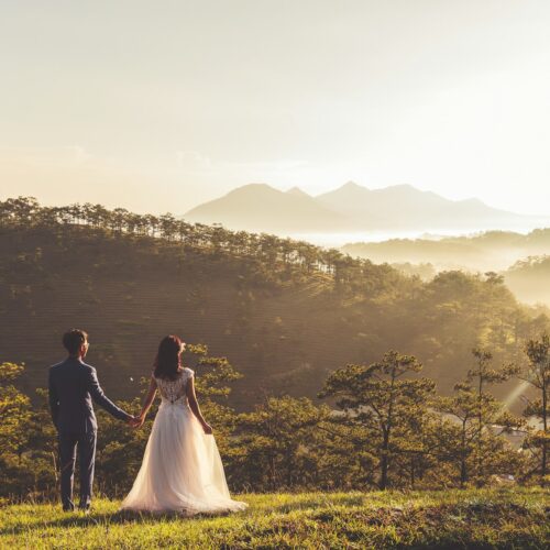How To Do A Prenup Online (What To Expect)