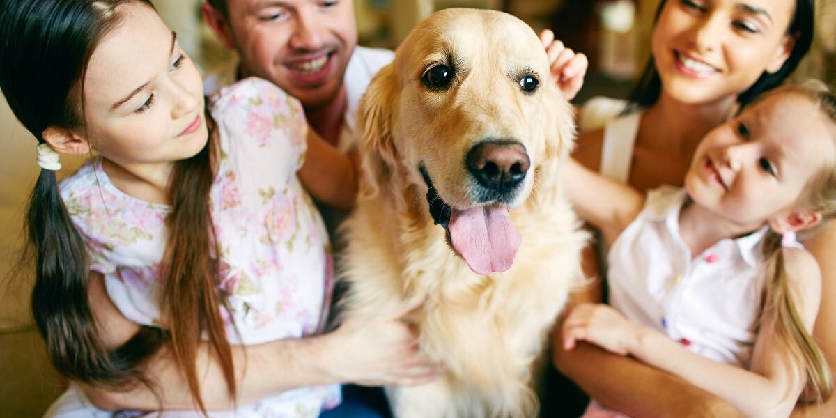 The Biggest Benefits Of Adopting A Dog For Your Family (5)