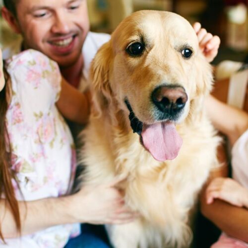 The Biggest Benefits Of Adopting A Dog For Your Family (5)