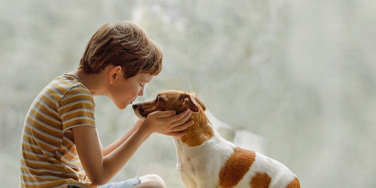 5 Skills and Values a Family Dog Can Teach Your Child