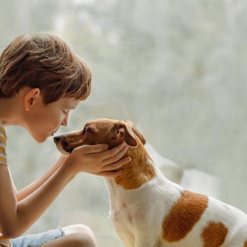 5 Skills and Values a Family Dog Can Teach Your Child